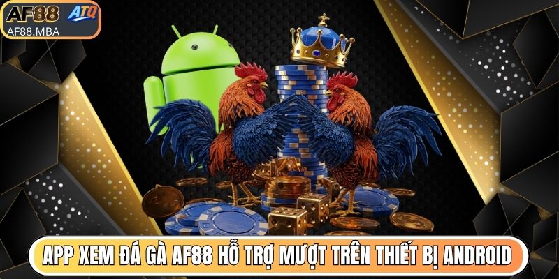 App Xem Đá Gà AF88 - Trực Tiếp Hơn 10.000 Trận Mỗi Ngày