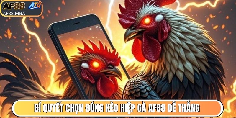 Kèo Hiệp Gà AF88 - Hơn 10.000 Trận Nảy Lửa Mỗi Ngày