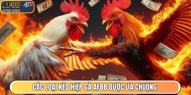 Kèo Hiệp Gà AF88 - Hơn 10.000 Trận Nảy Lửa Mỗi Ngày