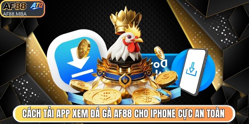 App Xem Đá Gà AF88 - Trực Tiếp Hơn 10.000 Trận Mỗi Ngày