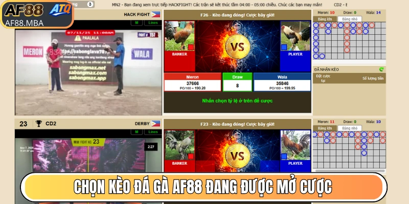 Hướng Dẫn Chơi Đá Gà AF88 Bao Thắng Ăn Đậm Tiền