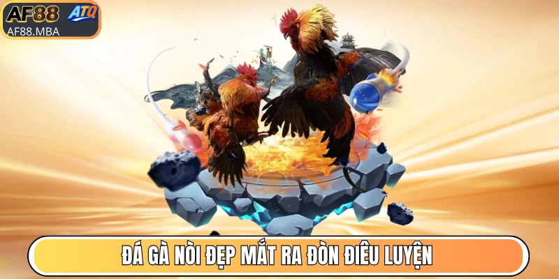 Đá Gà AF88
