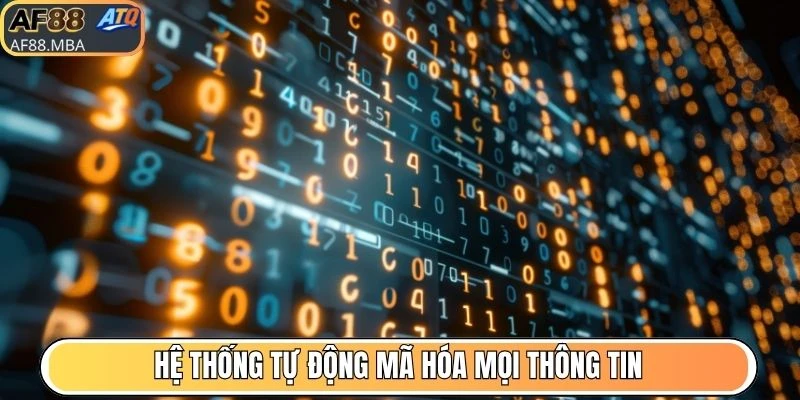 Chính Sách Bảo Mật AF88 - Cam Kết An Toàn Và Minh Bạch