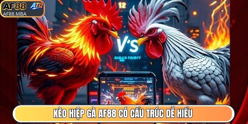 Kèo Hiệp Gà AF88 - Hơn 10.000 Trận Nảy Lửa Mỗi Ngày