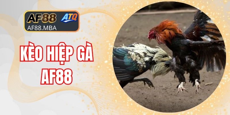 Đá Gà AF88