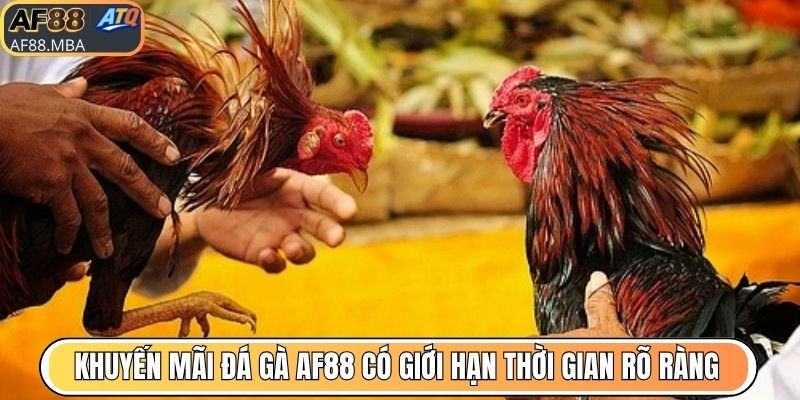Khuyến Mãi Đá Gà AF88 - Nhà Cái Tri Ân Người Chơi Uy Tín