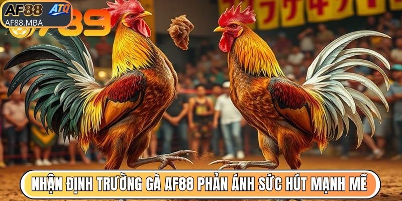 Nhận Định Trường Gà AF88 - Uy Tín Vững Chắc Qua Thời Gian
