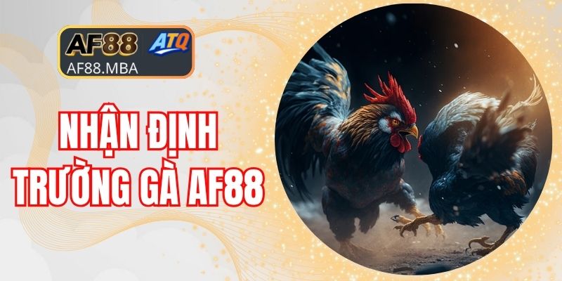 Đá Gà AF88