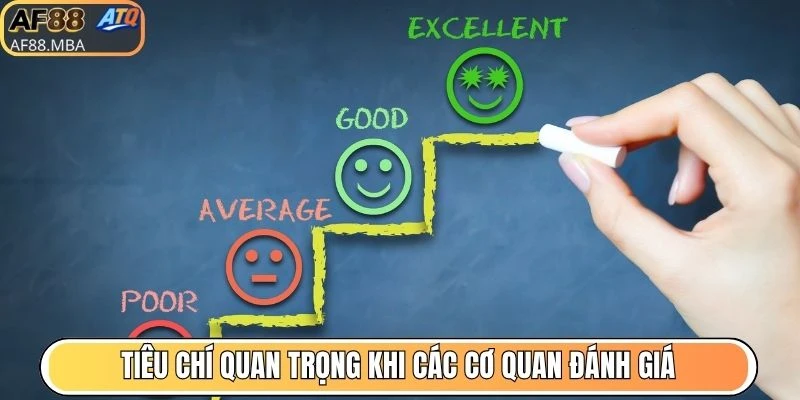 Giấy Phép Hoạt Động AF88 - Minh Chứng Nhà Cái Hợp Pháp