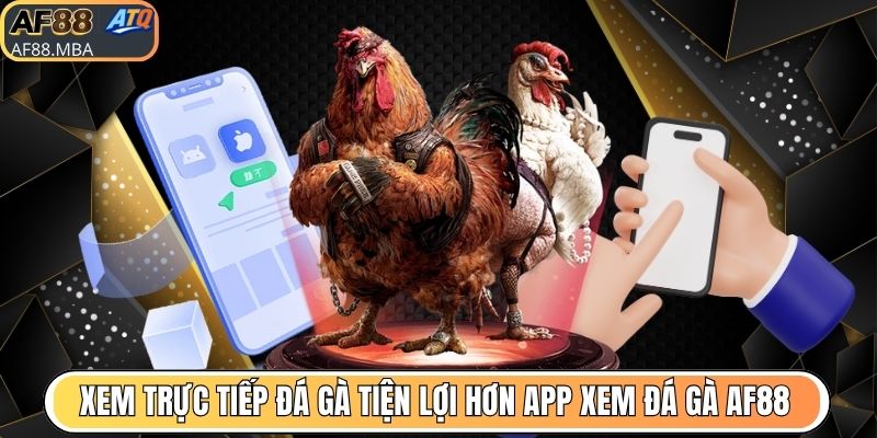 App Xem Đá Gà AF88 - Trực Tiếp Hơn 10.000 Trận Mỗi Ngày